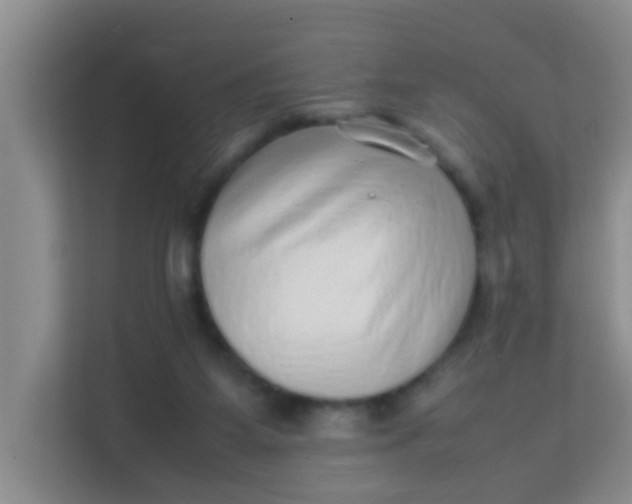 X0000113640115200910091544