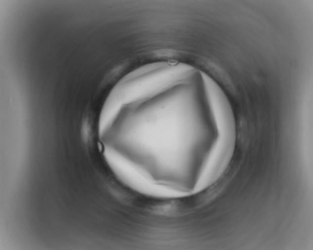 X0000113640116200910091544