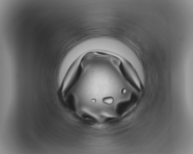 X0000113640117200910091544