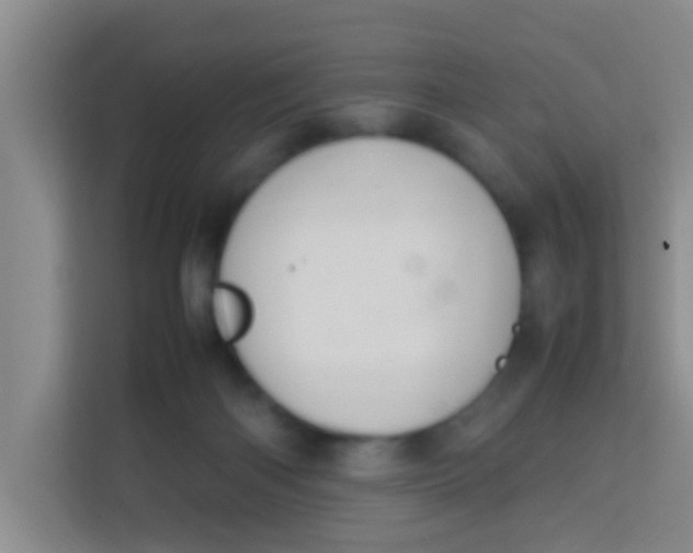 X0000113640122200910091544