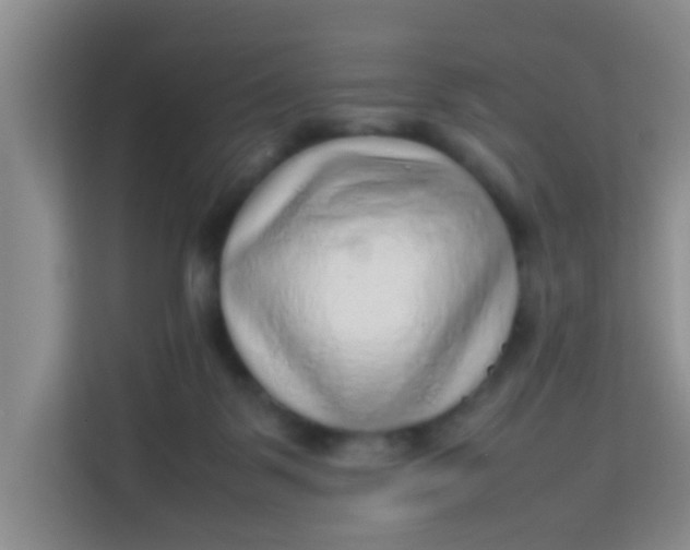 X0000113640123200910091544