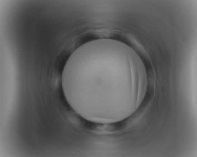 X0000113640125200910091544