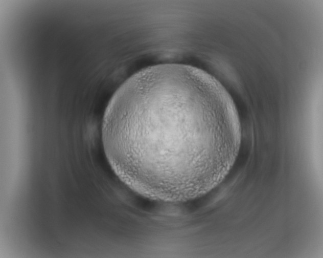 X0000113640127200910091544