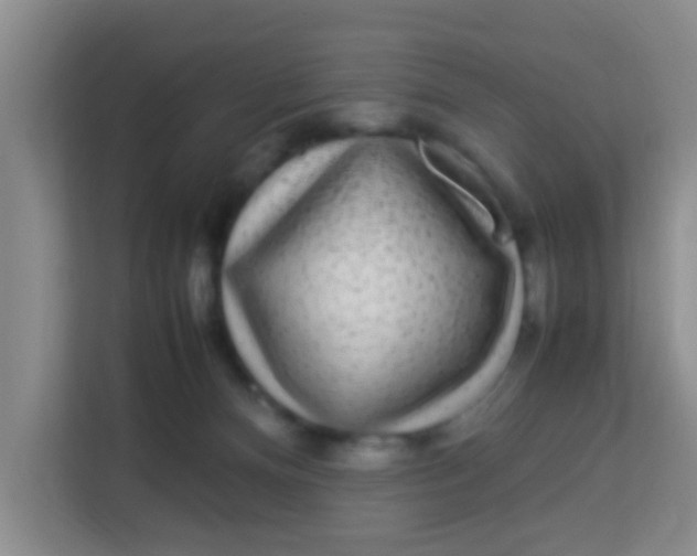 X0000113640128200910091544