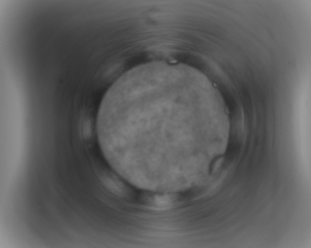 X0000113640134200910091544