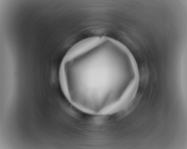 X0000113640136200910091544