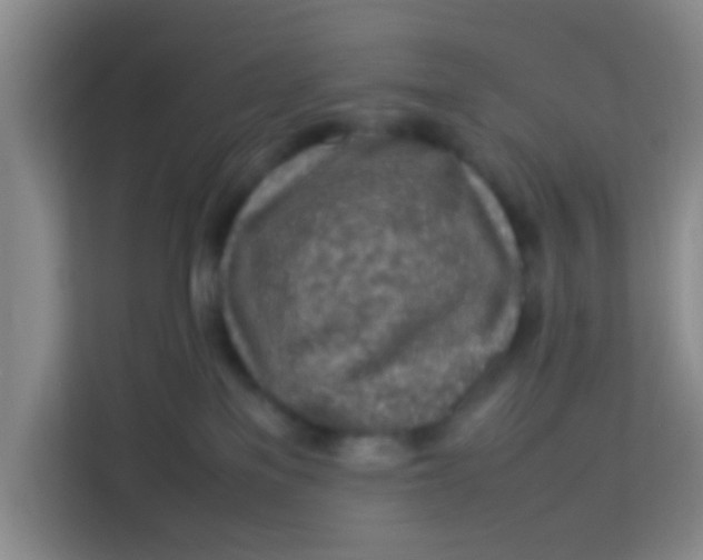 X0000113640137200910091544