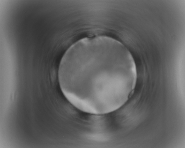 X0000113640139200910091544