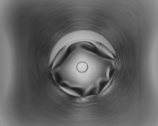 X0000113640140200910091544