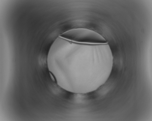 X0000113640141200910091544