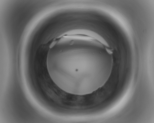 X0000113640143200910091544