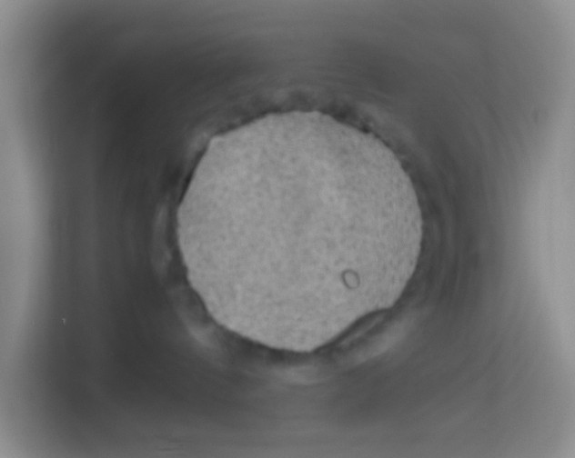 X0000113640144200910091544