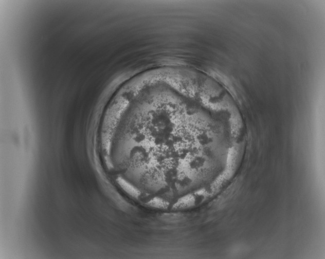 X0000113640145200910091543