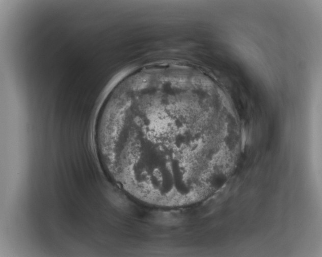 X0000113640147200910091543