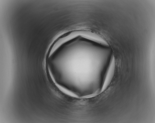 X0000113640148200910091543