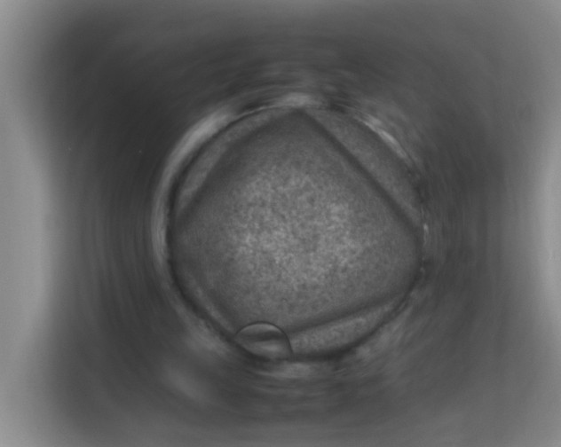 X0000113640149200910091543