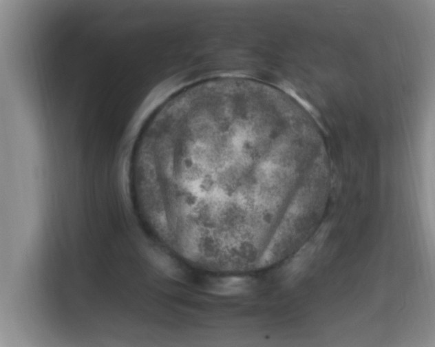 X0000113640151200910091543