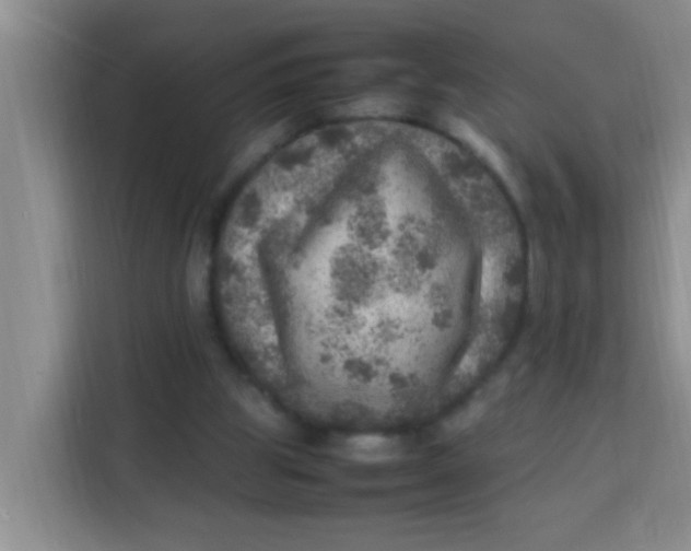 X0000113640153200910091543