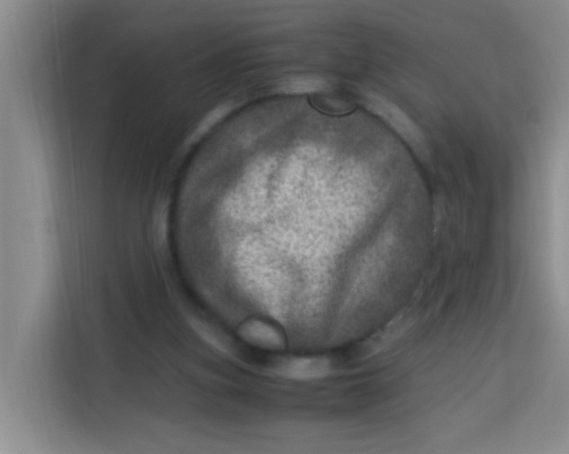 X0000113640155200910091544