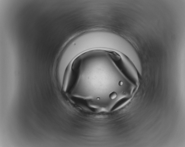 X0000113640156200910091544