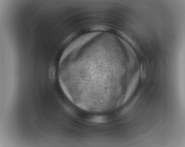 X0000113640157200910091544