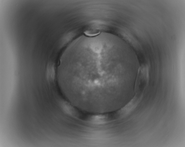 X0000113640158200910091544