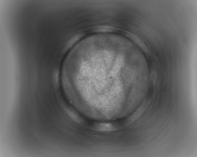 X0000113640159200910091544