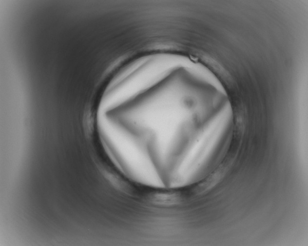 X0000113640160200910091544