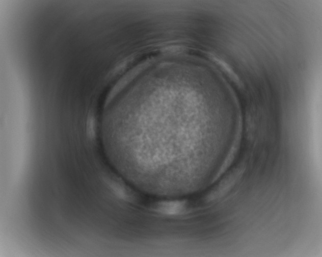 X0000113640161200910091544