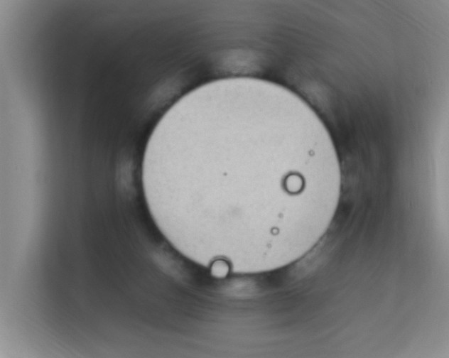 X0000113640162200910091544