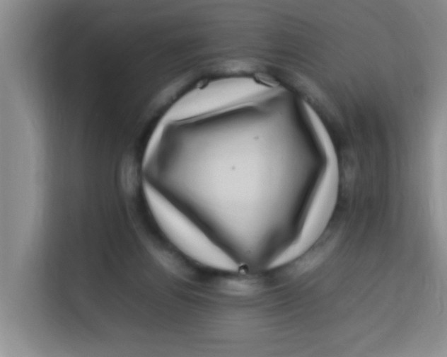 X0000113640164200910091544