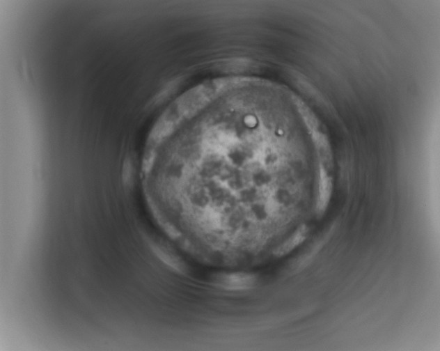 X0000113640165200910091544