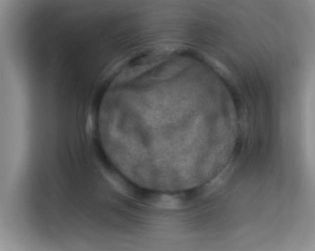 X0000113640166200910091544