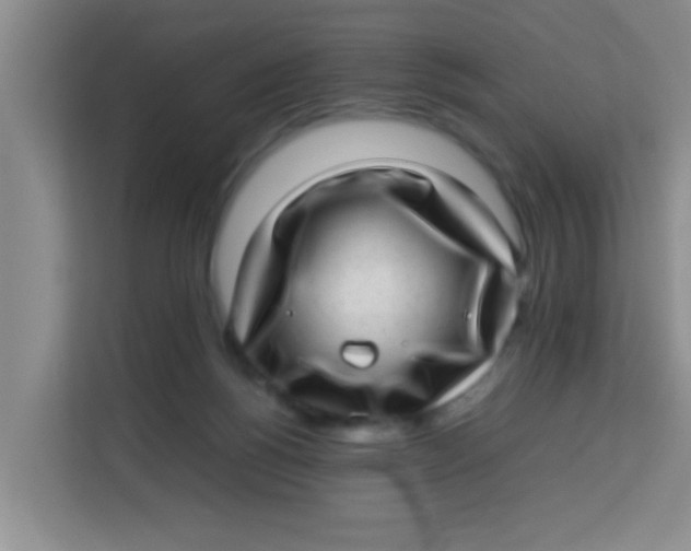 X0000113640168200910091544