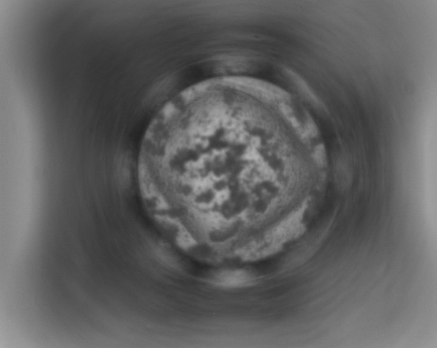 X0000113640169200910091544