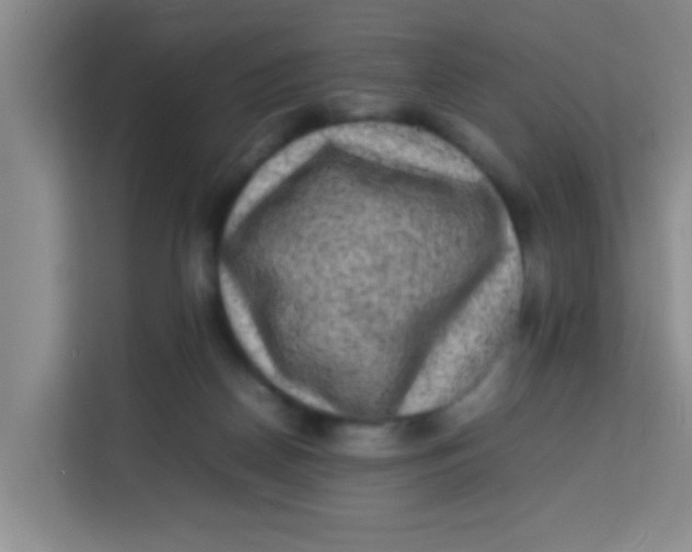 X0000113640170200910091544