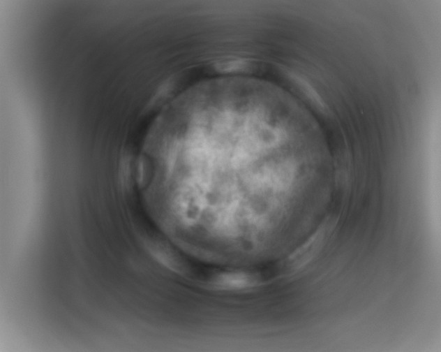 X0000113640171200910091544