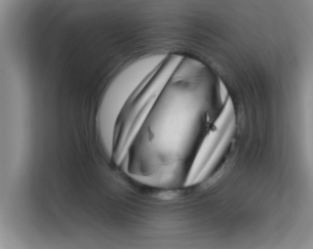 X0000113640172200910091544