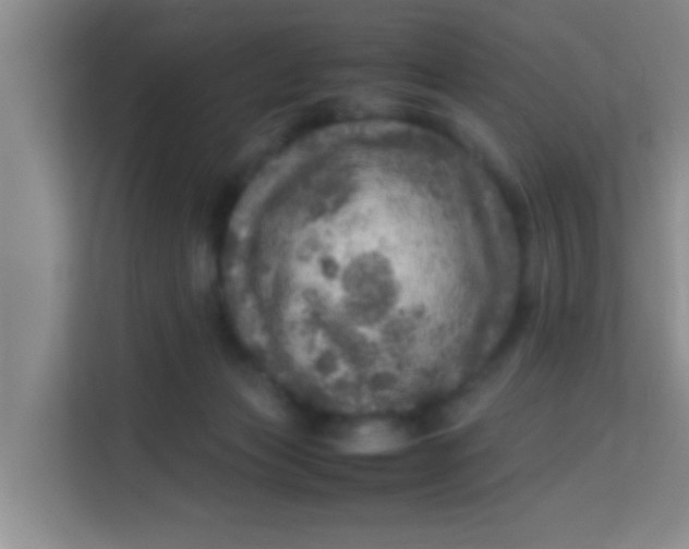 X0000113640173200910091544