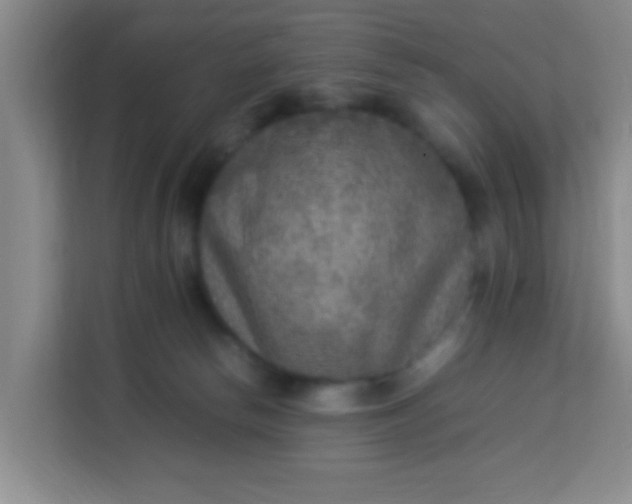 X0000113640178200910091544