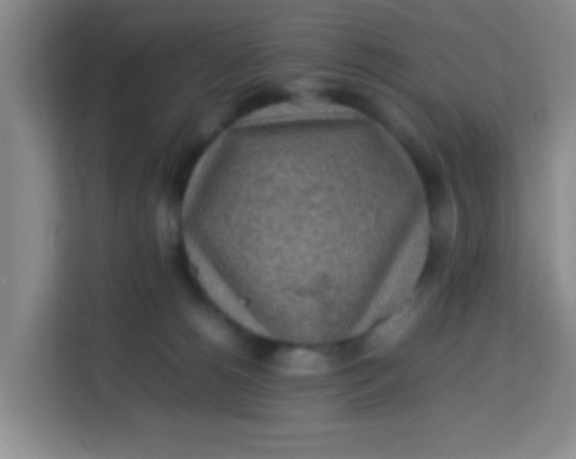 X0000113640180200910091544