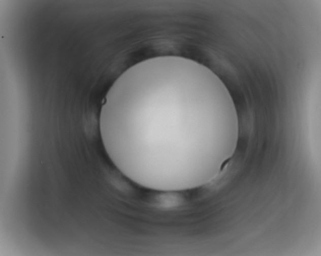 X0000113640183200910091544