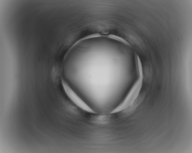 X0000113640184200910091544