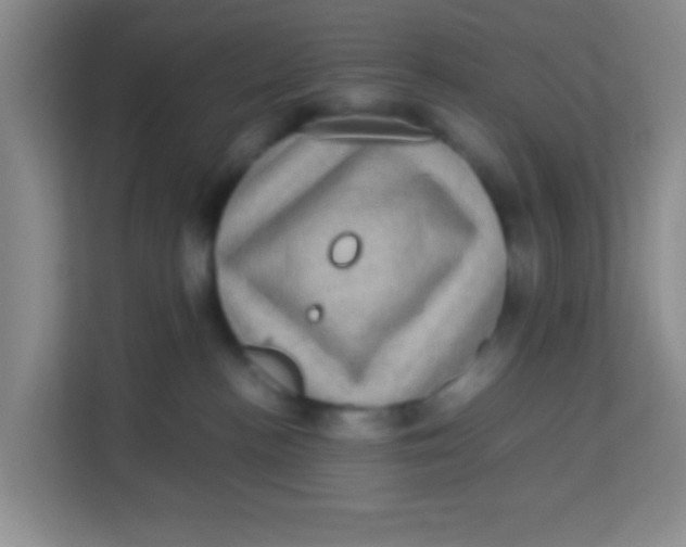 X0000113640188200910091544