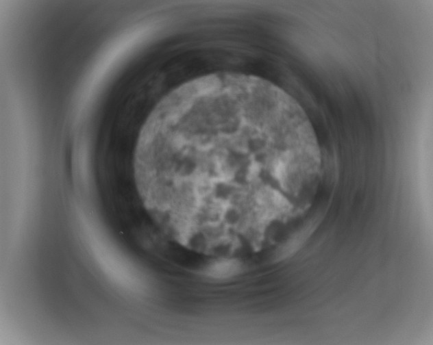 X0000113640189200910091544