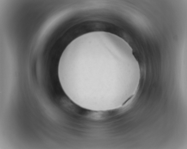 X0000113640190200910091544