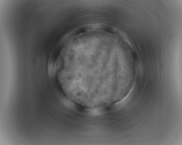 X0000113640191200910091544