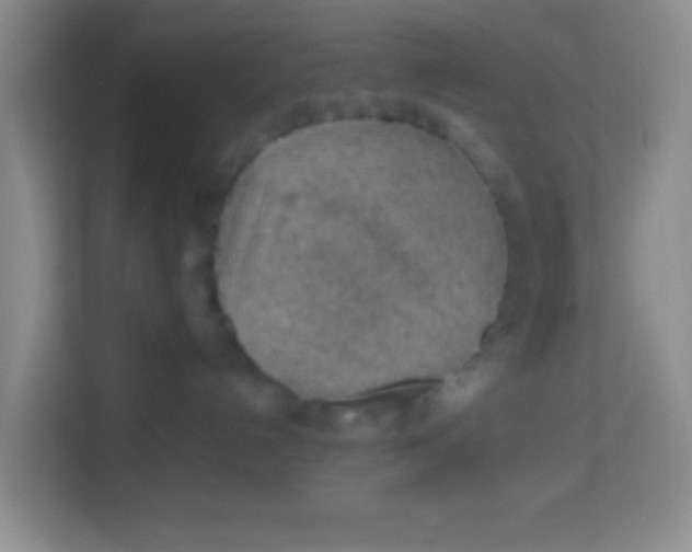 X0000113640192200910091544