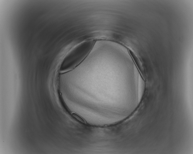 X0000113640193200910091543