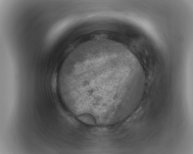 X0000113640194200910091543